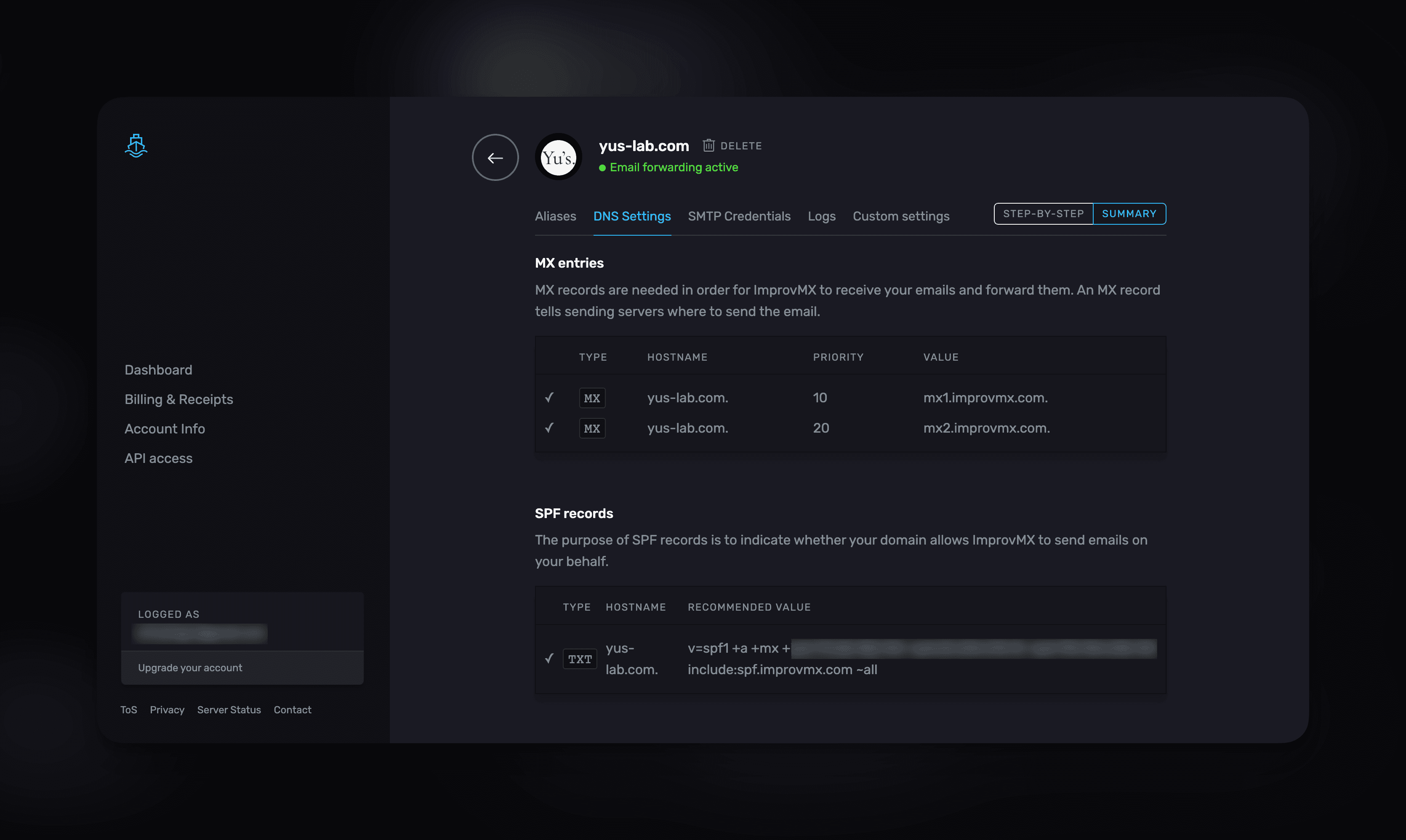 DNS Settings